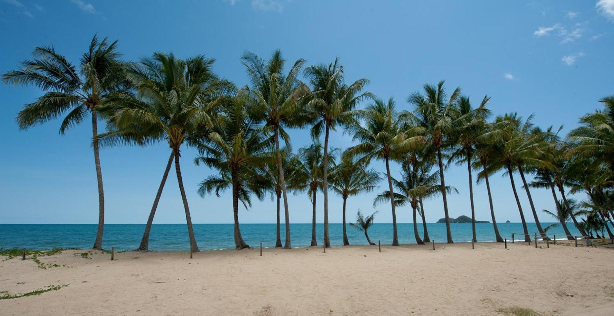 Ellis Beach Oceanfront Holiday Park Palm Cove Exterior photo