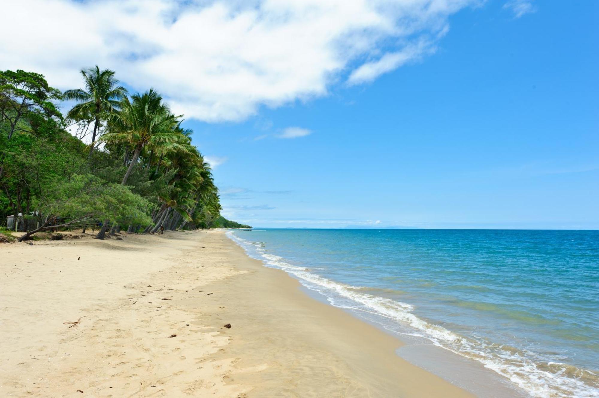 Ellis Beach Oceanfront Holiday Park Palm Cove Exterior photo
